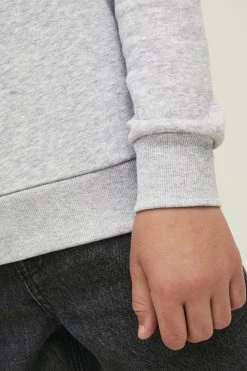 Jack & Jones Junior Elogo- Hoodie - Light Grey Melange -Gant shop b70958a6637f44378a44ea2e078bb148 scaled