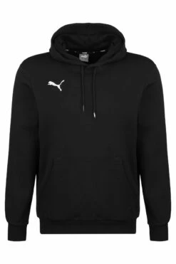 Teamgoal 23 Casuals Hoodie Herren - Hoodie - Puma Black