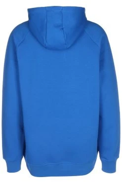 Bball Blank Hoodie - Hoodie - Puma Royal -Gant shop b9aad190a9f54f60b474c5acb0033028 scaled