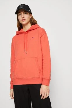 Levi's Standard Hoodie - Hoodie - Burnt Sienna -Gant shop bb5523fd2a664c61a6690af450e16b4c scaled