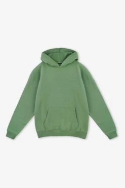 Pegador Logo Oversized Hoodie Unisex - Sweatshirt - Vinatge Washed Cypress Gum -Gant shop bdcac45e2328484db52d4339997e38f8 scaled