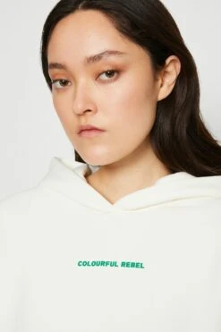 COLOURFUL REBEL Back Logo Clean Hoodie - Sweatshirt - Off White -Gant shop bdf8b1819ca145cb8772b28fbb24b6a9 scaled