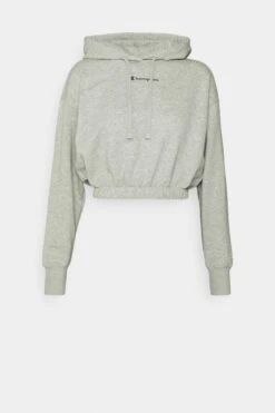 Champion Hooded - Hoodie - Grey -Gant shop bec2818409a047cf909179f47b917615 scaled