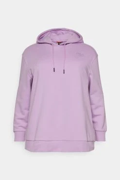 The North Face Oversized Essential Hoodie- Hoodie - Lupine -Gant shop bfb4ec8f51824dc0a47d543f8f65d799 scaled