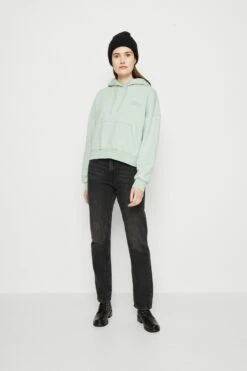Alternative view of Napapijri Morgex - Hoodie - Green Frost