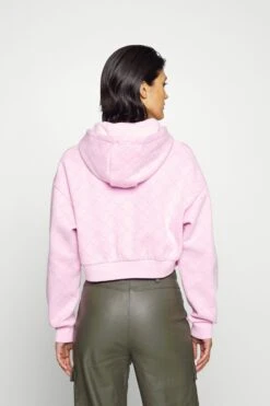 Ellesse Marinell- Hoodie - Light Pink -Gant shop c3d801d494a745f4872e162011f84bec scaled