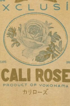 BDG Urban Outfitters Cali Rose Hoodie Unisex - Hoodie - Honey -Gant shop c3e5d9b365ea4ccaad3167e409a7d8cb scaled