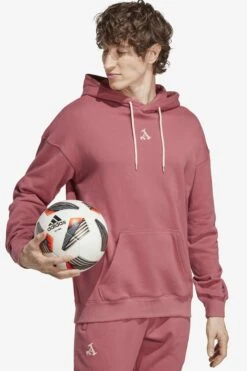 ADIDAS PERFORMANCE Arsenal London Chinese Story - Hoodie - Pink -Gant shop c5ae069e08ca4a46b1f7f9d0f0c989ed scaled