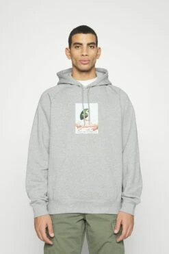 Carhartt WIP Hooded Ant - Hoodie - Grey Heather -Gant shop cb0a777375a946cfa5722dcb8c5dbecc scaled