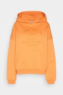 WRSTBHVR Valo Hoodie - Sweatshirt - Tangerine -Gant shop cb228614f45b47b0ba5540b060a55d33 scaled