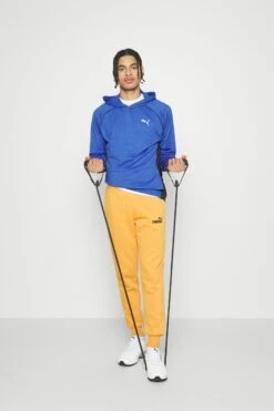 Puma Train Cloudspun Hoodie - Sweatjakke - Royal Sapphire Heather -Gant shop cbbaee2bcc2a454a839bd3f02f72c759 scaled