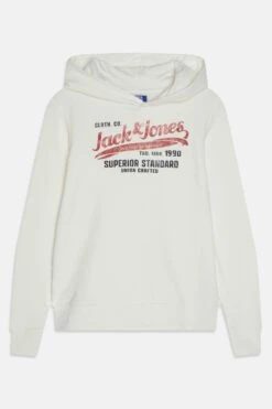 Jack & Jones Junior Jprblubilly Logo Sweat Hood - Hoodie - Cloud Dancer