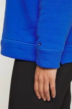 Tommy Hilfiger Curve Regular Hoodie - Hoodie - Th Electric Blue -Gant shop ccb391cece6c446c9fb86ae726c062fa scaled