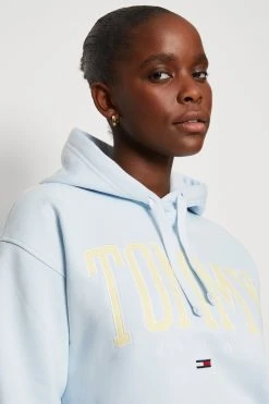 Tommy Jeans Pop Collegiate Hoodie - Sweatshirt - Below -Gant shop cdeca1c1bdc24971b00be175d105e924 scaled