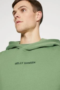 Helly Hansen Graphic Hoodie - Sweatshirt - Jade 14 Helly Hansen Graphic Hoodie - Sweatshirt - Jade -Gant shop d2cfa8ee4c6744a3b75b8d236af4e634 scaled