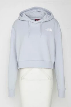 The North Face Trend Crop Hoodie - Hoodie - Dusty Periwinkle -Gant shop d534d5f7d5e946a2abfbc4ec35577d88 scaled