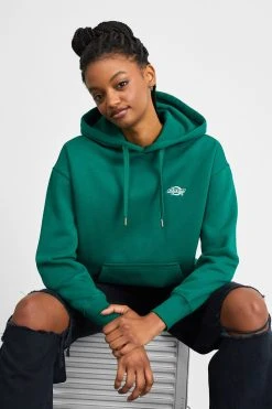 Dickies Summerdale Hoodie - Sweatshirt - Aventurine