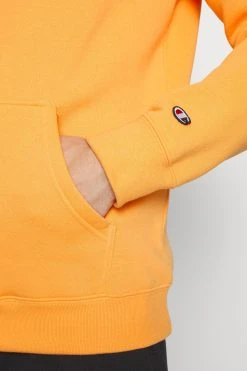 Champion Classic Hooded Small Logo - Hoodie - Orange -Gant shop d947add10ab94064b915e7cc4d912c09 scaled