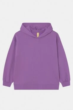 Friboo Hoodie 2 Pack - Sweatshirt - Purple/Light Grey -Gant shop da2dec0af23149c6bc5d46322ccb9f02 scaled