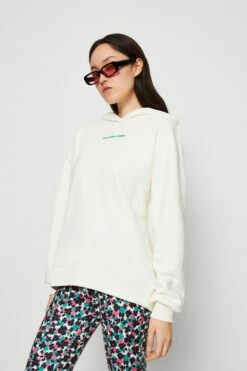 COLOURFUL REBEL Back Logo Clean Hoodie - Sweatshirt - Off White -Gant shop dad0cff495614034b3ef921b61074601 scaled