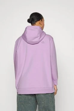 The North Face Oversized Essential Hoodie- Hoodie - Lupine -Gant shop dc510df702174d3a814ef02d5693abf5 scaled
