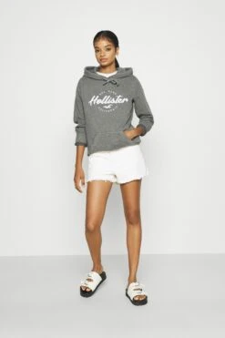 Hollister Co. Tech Core - Hoodie - Grey -Gant shop ddd3587330724e7190bee25455f9cfa9 scaled