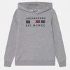 Jack & Jones Junior Jcofreddie Hood Jnr - Hoodie - Light Grey Melange