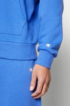 Champion Hooded - Hoodie - Blue -Gant shop e9fec52b2b9f4334acae8952e35d4f8c scaled