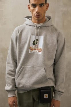 Carhartt WIP Hooded Ant - Hoodie - Grey Heather