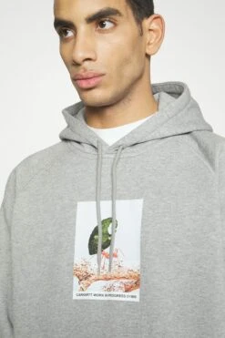 Carhartt WIP Hooded Ant - Hoodie - Grey Heather -Gant shop f926429500924d279dbb302259983d09 scaled