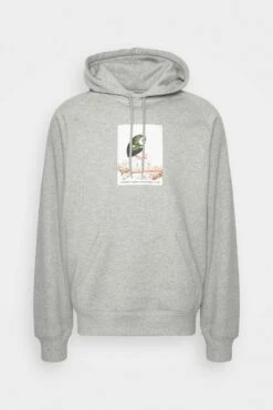 Carhartt WIP Hooded Ant - Hoodie - Grey Heather -Gant shop fd0083ff632949ba92e37c8e1a74ed01 scaled