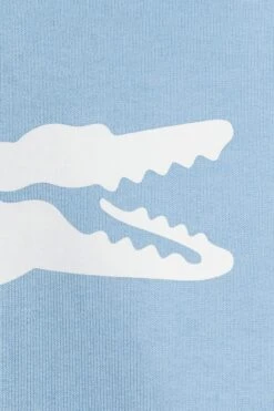Lacoste Hbp - Hoodie - Overview 12 Lacoste Hbp - Hoodie - Overview -Gant shop fed5c56f00d54ad0888df880d6e3472e scaled